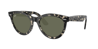 GREY HAVANA, Green, Rayban