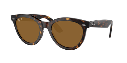Havana, Brown-Polarized, Rayban