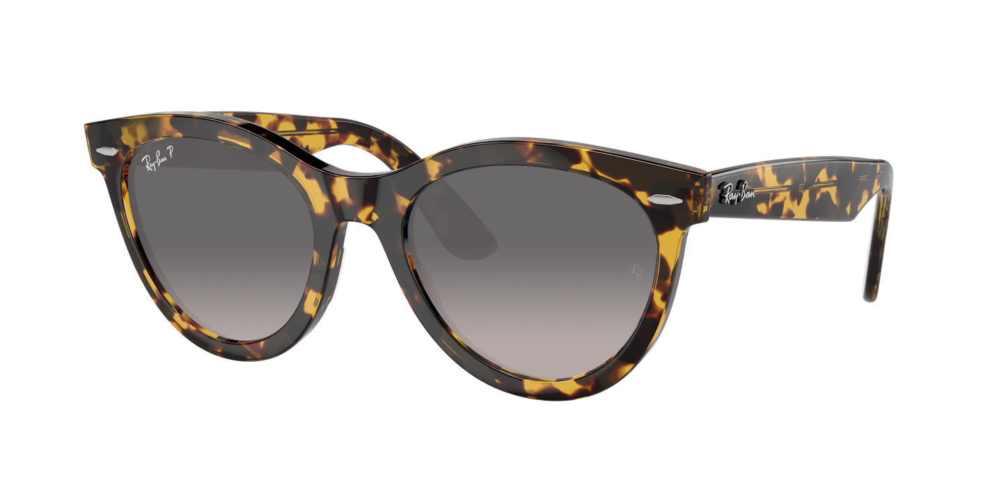 YELLOW HAVANA, Grey Gradient-Polarized, Rayban