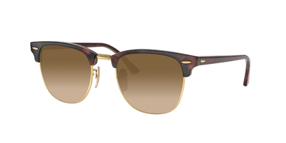 Tortoise On Gold, Brown Gradient, Sunberryrx