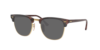 Tortoise On Gold, Grey, Sunberryrx