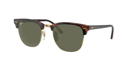 Tortoise On Gold, Green, Rayban