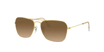 ARISTA, Brown Gradient, Sunberryrx