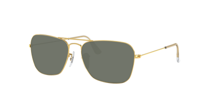 ARISTA, Green-Polarized, Sunberryrx