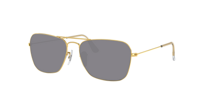 ARISTA, Grey-Polarized, Sunberryrx