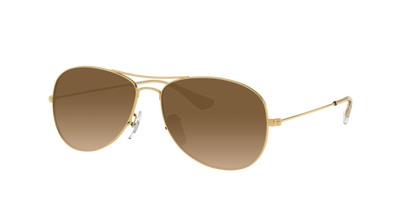 ARISTA, Brown Gradient, Sunberryrx