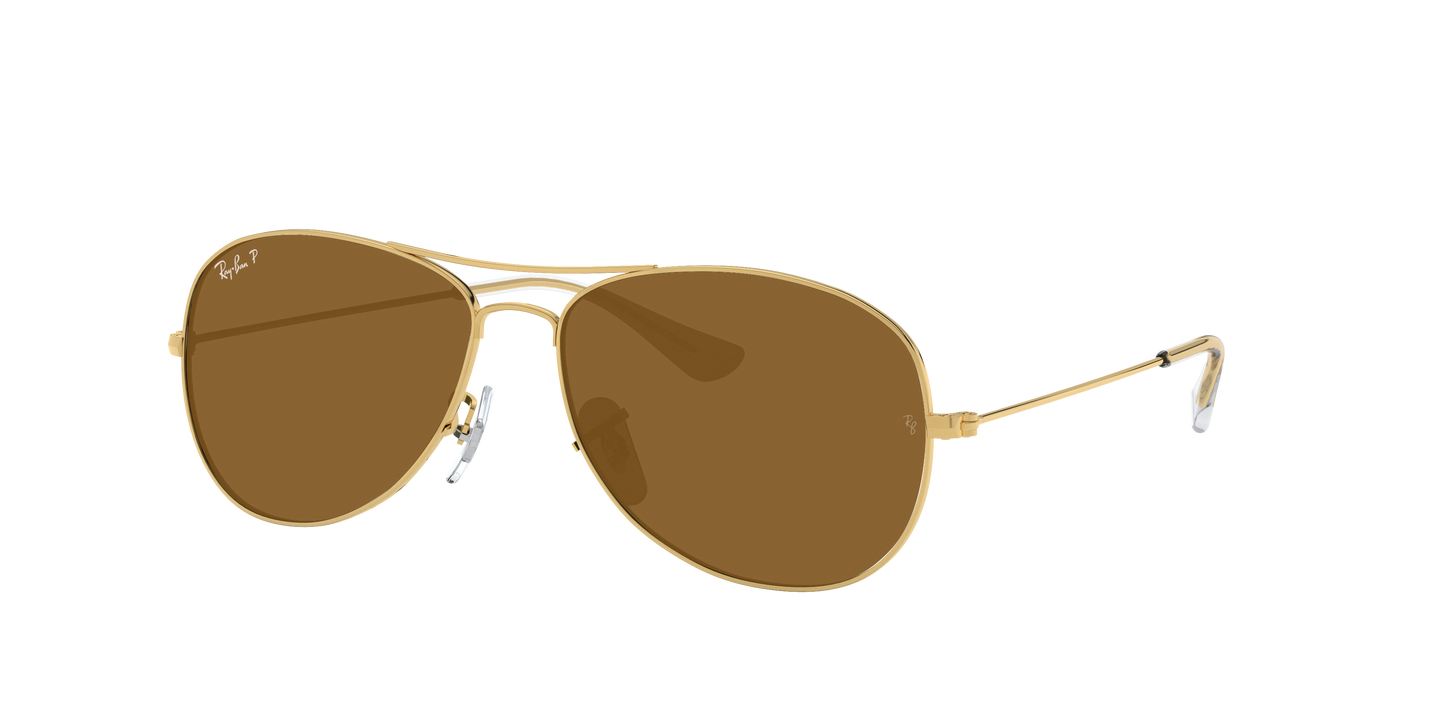 ARISTA, Brown-Polarized, Rayban