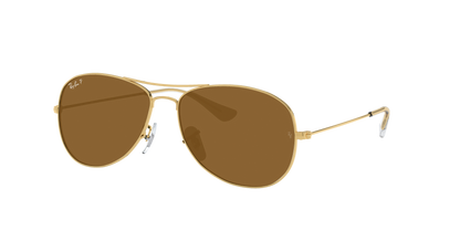 ARISTA, Brown-Polarized, Rayban
