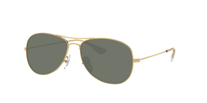 ARISTA, Green-Polarized, Sunberryrx