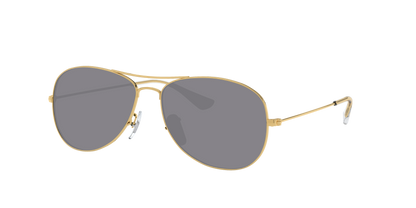 ARISTA, Grey-Polarized, Sunberryrx