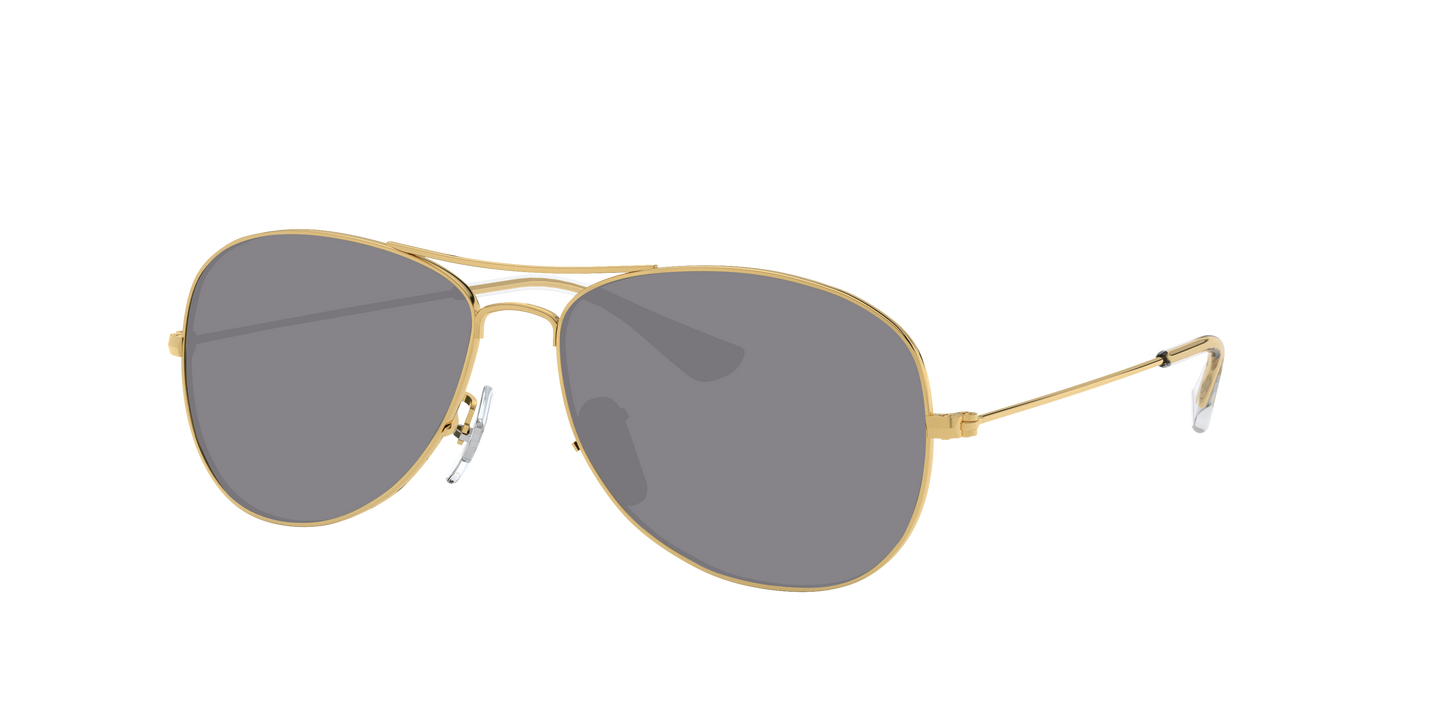 ARISTA, Grey-Polarized, Sunberryrx