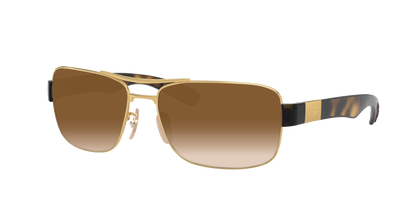 ARISTA, Brown Gradient, Sunberryrx