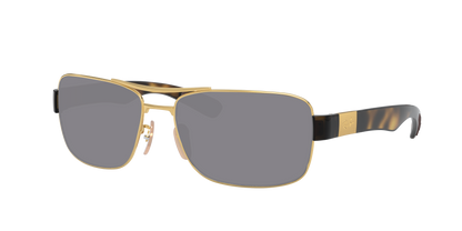 ARISTA, Grey-Polarized, Sunberryrx