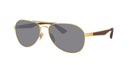 ARISTA, Grey-Polarized, Sunberryrx
