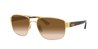 ARISTA, Brown Gradient, Sunberryrx