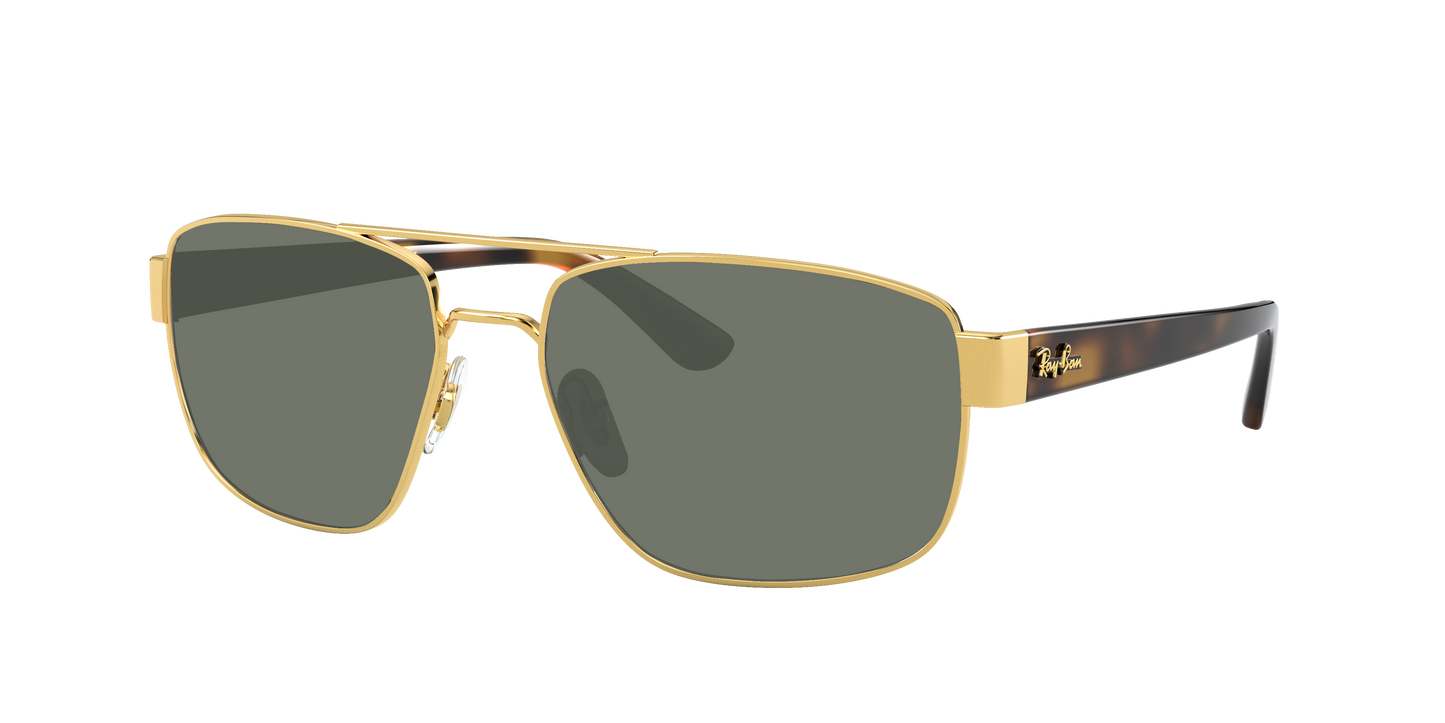 ARISTA, Green-Polarized, Sunberryrx