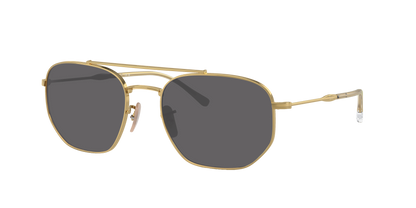ARISTA, Grey-Polarized, Sunberryrx
