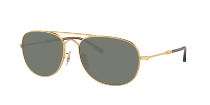 Arista Gold, Green-Polarized, Sunberryrx
