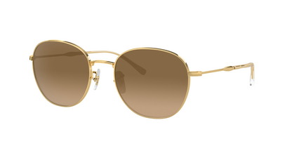 ARISTA, Brown Gradient, Sunberryrx