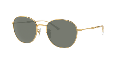ARISTA, Green-Polarized, Sunberryrx