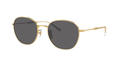 ARISTA, Grey-Polarized, Sunberryrx