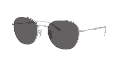 SILVER, Grey-Polarized, Sunberryrx