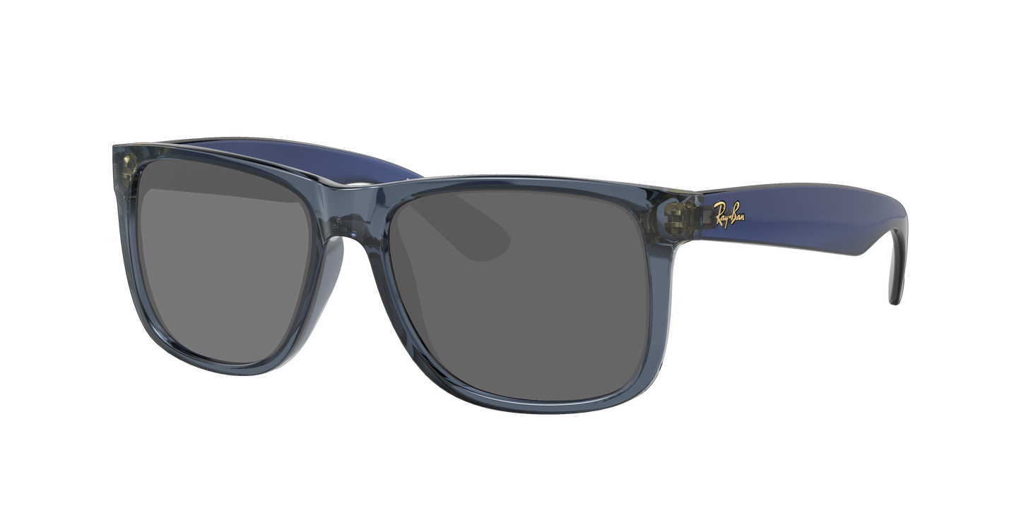 TRANSPARENT BLUE, Grey-Polarized, Sunberryrx