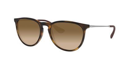 Havana, Brown Gradient, Sunberryrx