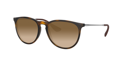 Light Havana, Brown Gradient, Sunberryrx