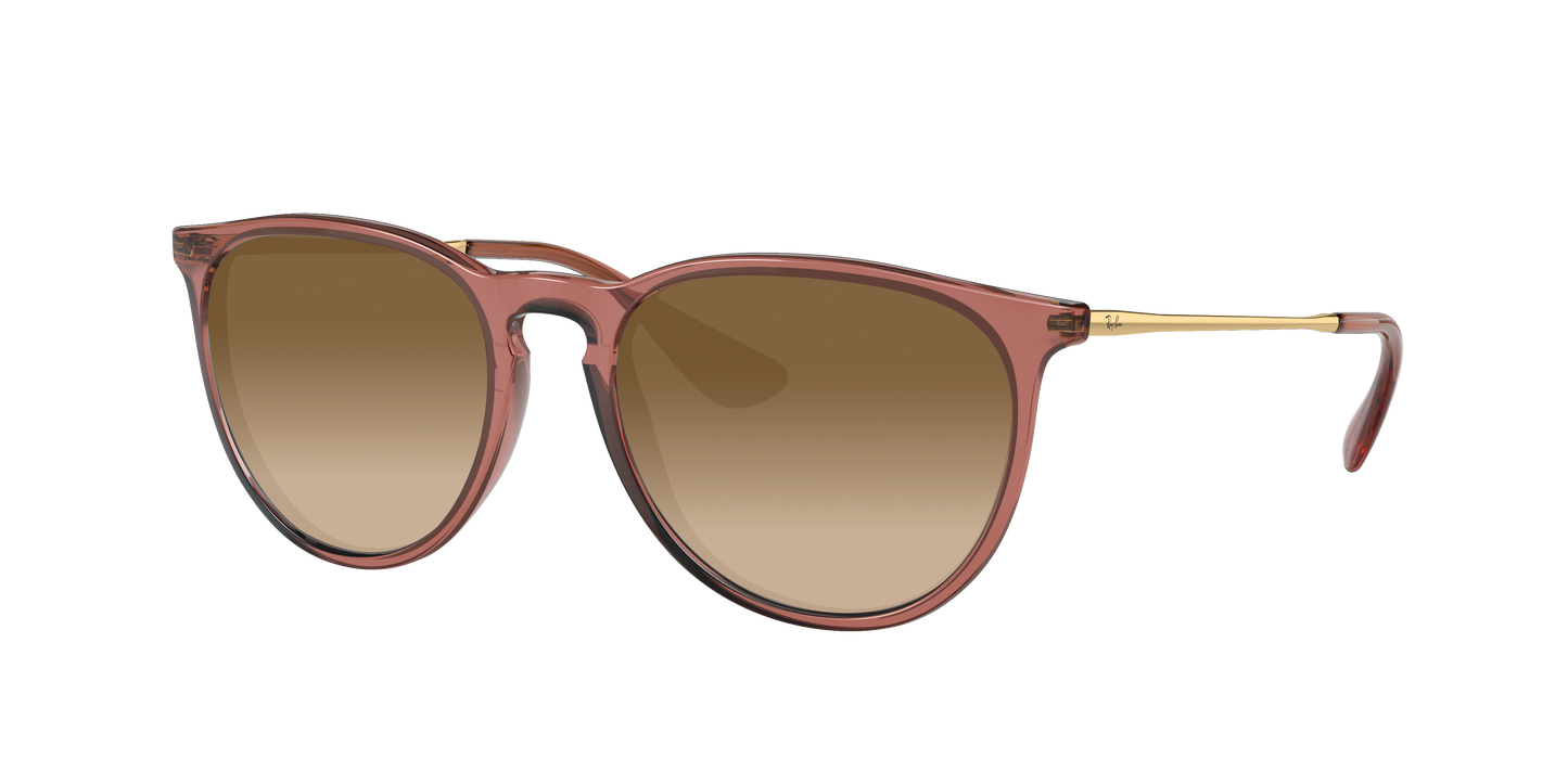 TRANSPARENT LIGHT BROWN, Brown Gradient, Sunberryrx