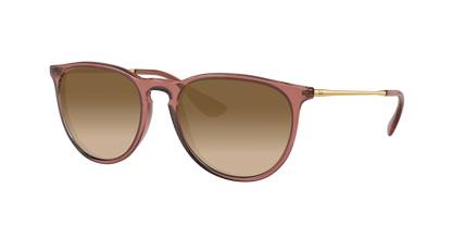 TRANSPARENT LIGHT BROWN, Brown Gradient, Sunberryrx