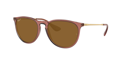 TRANSPARENT LIGHT BROWN, Brown-Polarized, Rayban