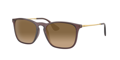 TRANSPARENT BROWN, Brown Gradient, Sunberryrx