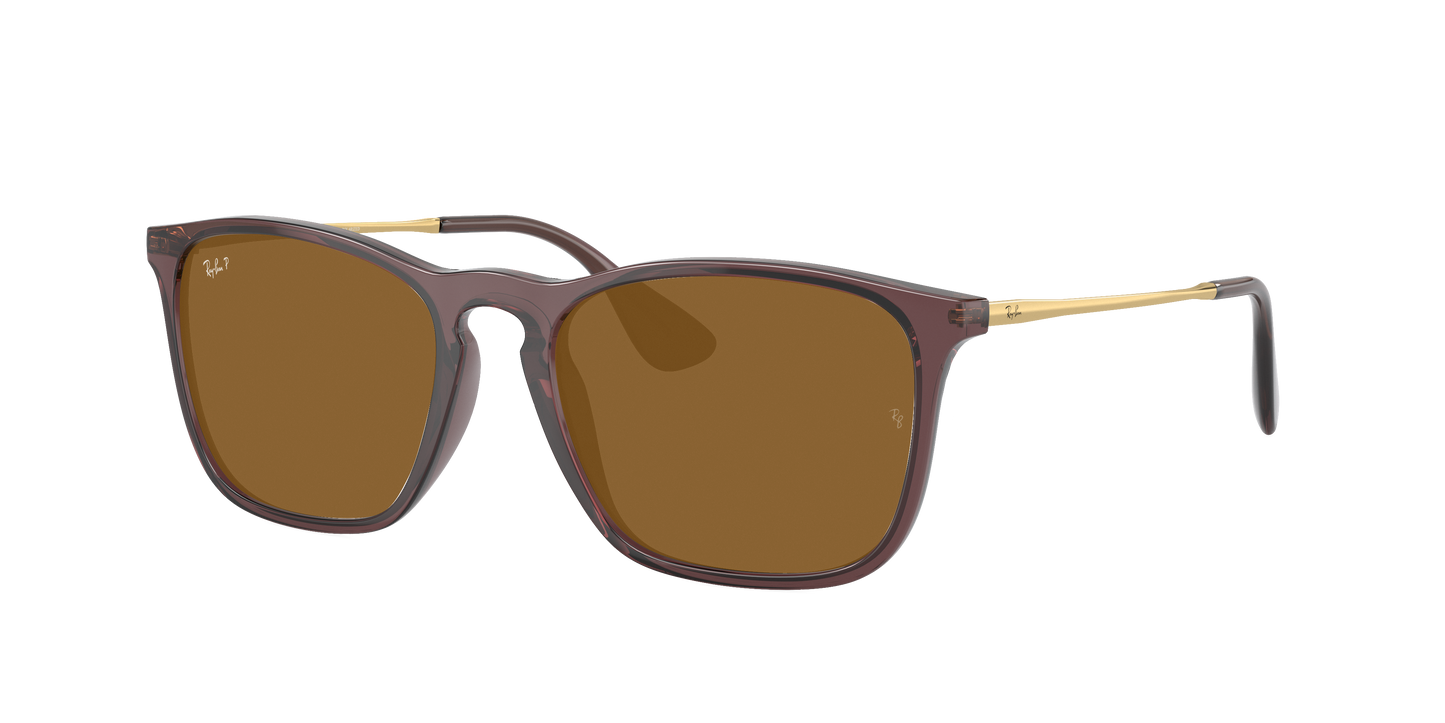 TRANSPARENT BROWN, Brown-Polarized, Rayban