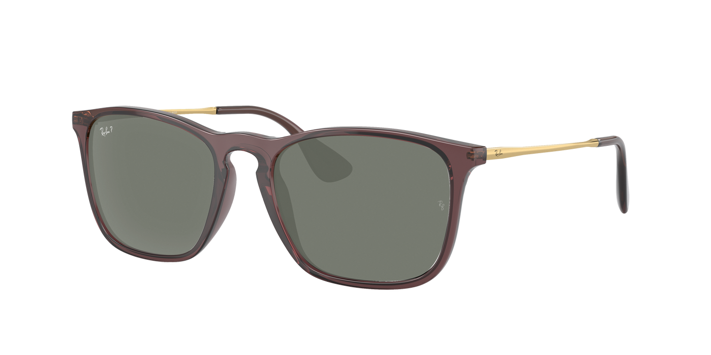 TRANSPARENT BROWN, Green-Polarized, Rayban