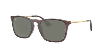 TRANSPARENT BROWN, Green-Polarized, Rayban