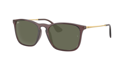 TRANSPARENT BROWN, Green, Rayban
