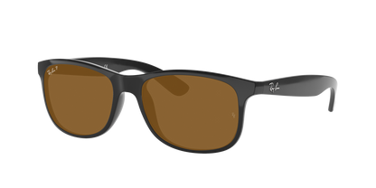 Black, Brown-Polarized, Rayban