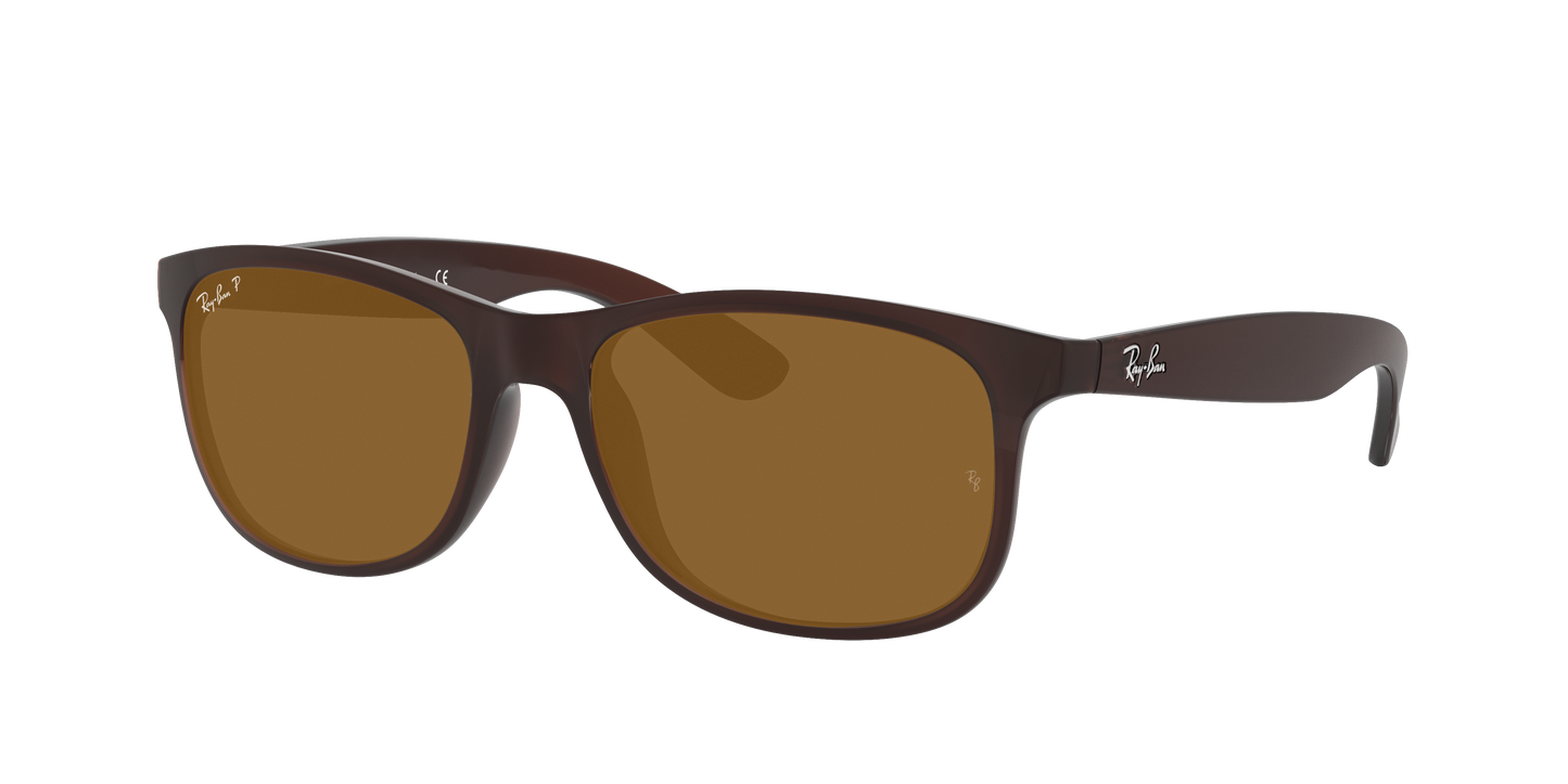 BROWN, Brown-Polarized, Rayban