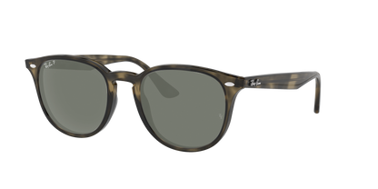GREY HAVANA, Green-Polarized, Rayban