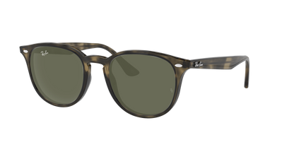 GREY HAVANA, Green, Rayban