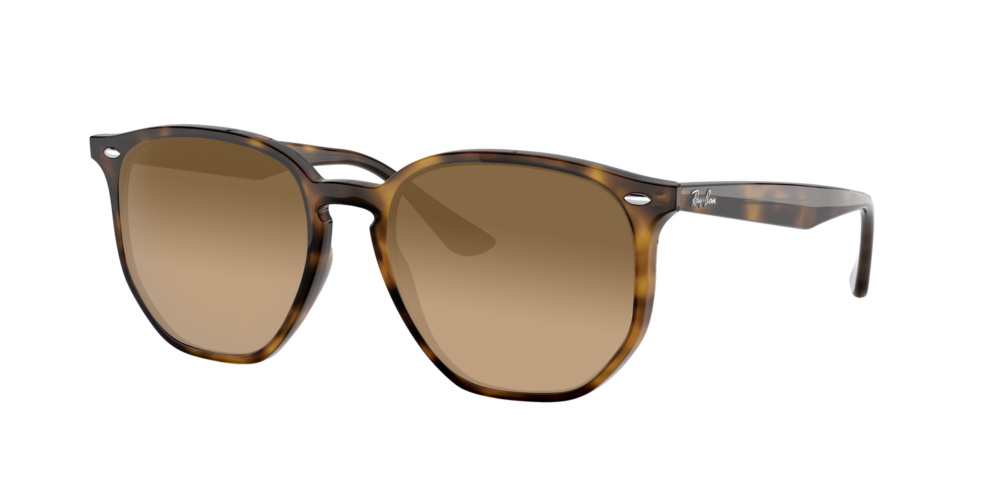 Light Havana, Brown Gradient, Sunberryrx