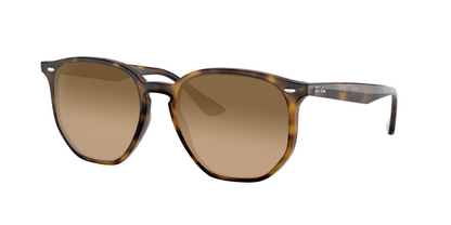 Light Havana, Brown Gradient, Sunberryrx