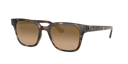Light Havana, Brown Gradient, Sunberryrx