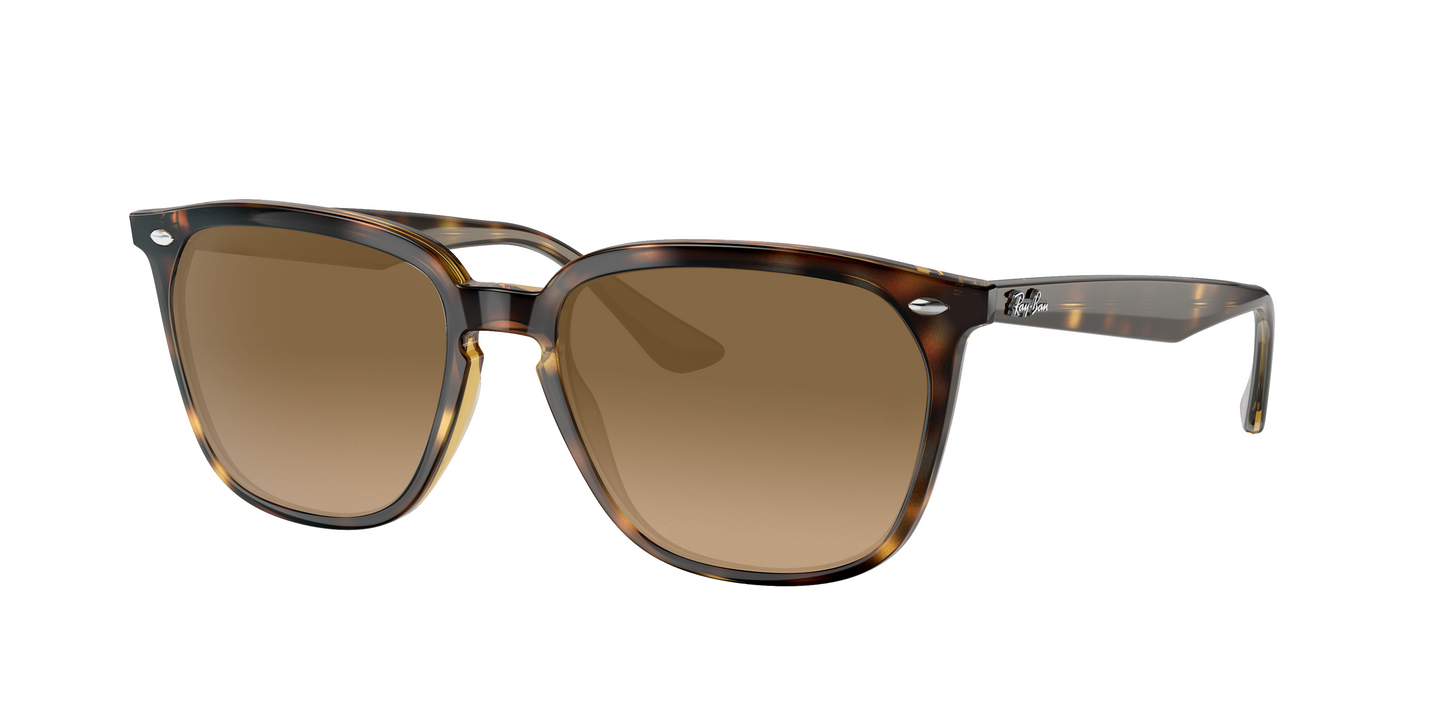 HAVANA, Brown Gradient, Sunberryrx