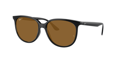 Black, Brown-Polarized, Rayban