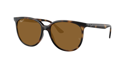 Havana, Brown-Polarized, Rayban