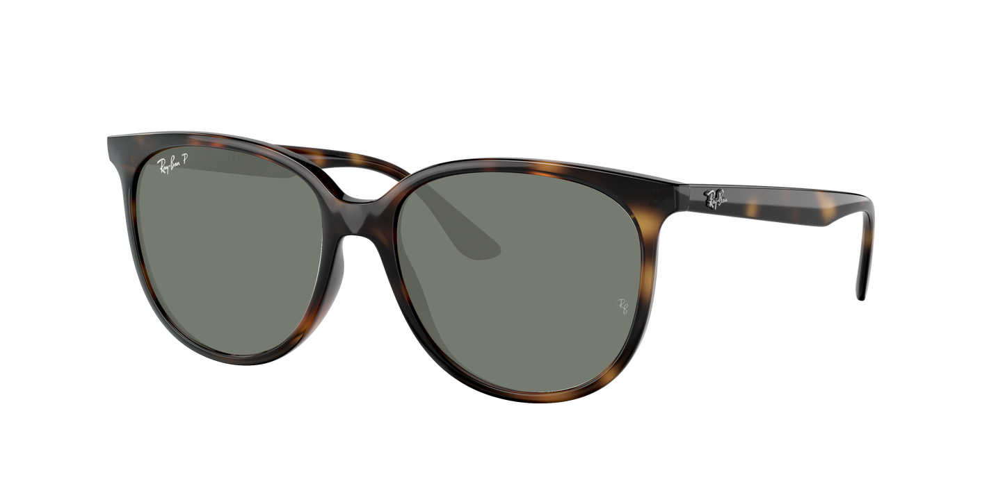 Havana, Green-Polarized, Rayban