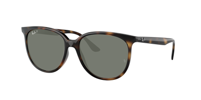 Havana, Green-Polarized, Rayban