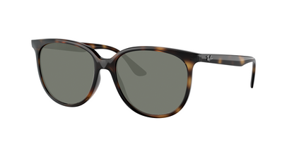 Havana, Green-Polarized, Sunberryrx